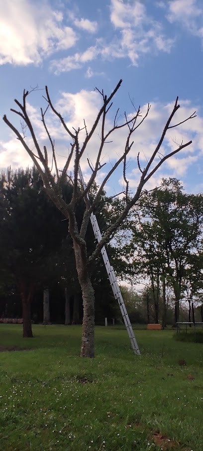 TECKNI 41, Menuisier à Gièvres
