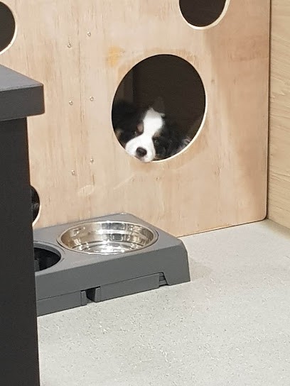 La Mémoire Du Bois, Menuisier à Égly