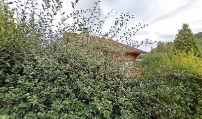 David LOCHON, Charpentier à Draillant