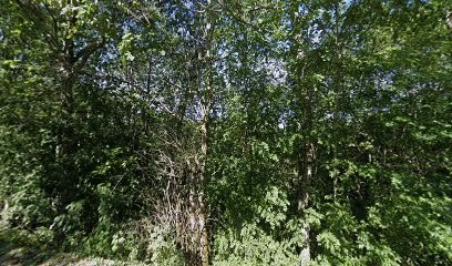 JC CHARPENTES, Charpentier à Saint-Amans-Valtoret