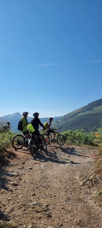 Menuiserie Bois Lafitte Pascal, Charpentier à Urrugne
