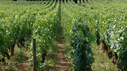 Crea'combles, Charpentier à Rully