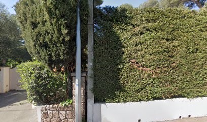 Alves Jose Jose, Menuisier au Cannet