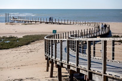 Bois Loisirs Créations, Menuisier à Saint-Mars-du-Désert