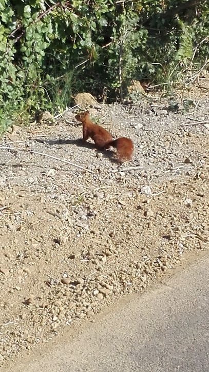 Les Ouvertures Du Midi, Menuisier à Meynes