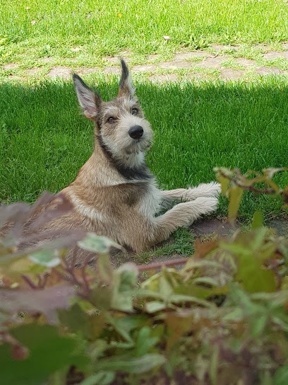 MENUISERIE GERON, Menuisier à Feuquières-en-Vimeu