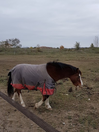 Sté D'Expl Poquet ETS, Charpentier à Rivières
