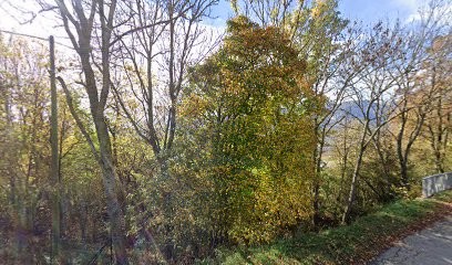 Vertige Batiment, Charpentier à Saint-Julien-en-Champsaur