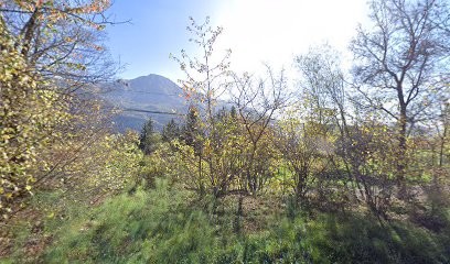 SARL Ribail Mickaël, Charpentier à Saint-Jean-Saint-Nicolas