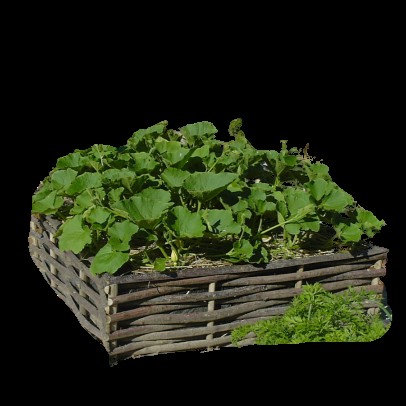 Castanea en Limousin, Menuisier à Bussière-Galant