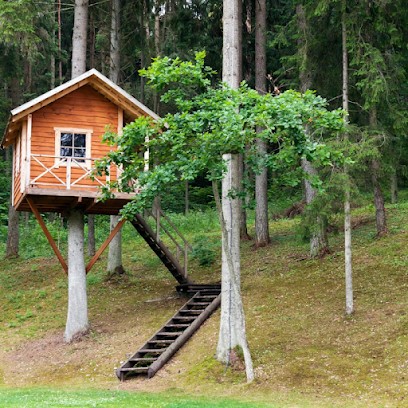 Menuiserie Massé, Menuisier à Saint-Martin-des-Tilleuls
