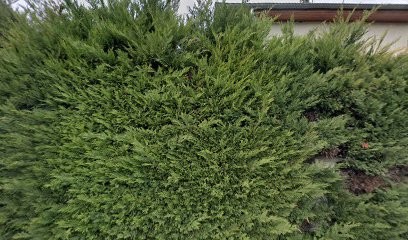 GHILASSI TOITURE, Charpentier à Saint-Priest