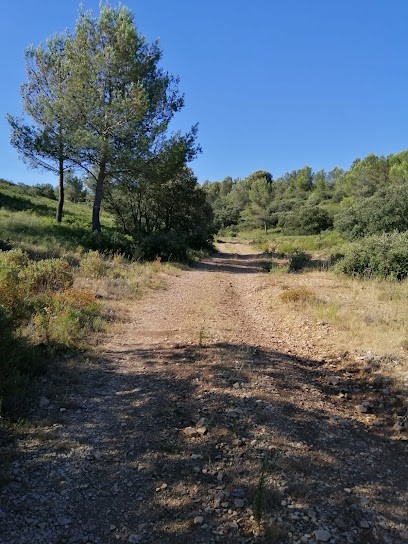 SUD FRANCE, Menuisier à Chabeuil
