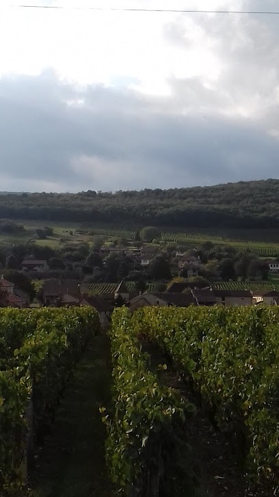 Barraud Jean-Louis, Charpentier à Saint-Gengoux-de-Scissé