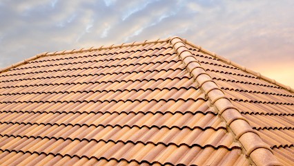 Etablissements Robert Louriac, Charpentier à Villeneuve-lès-Béziers