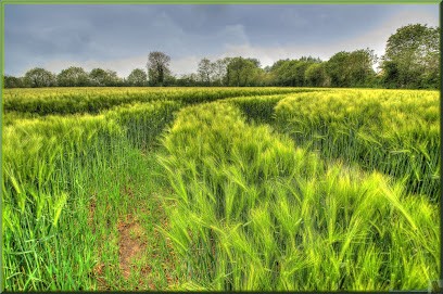 Entreprise Groult Olivier, Menuisier à Cricqueville-en-Bessin
