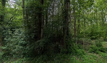 Sarl les Sens Du Bois, Menuisier à Blanquefort