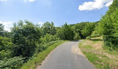 Bertoli André, Charpentier à Saint-Hilaire-Peyroux
