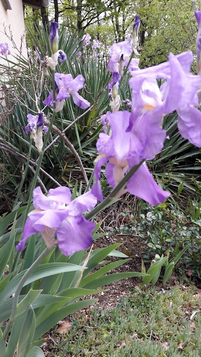 Lhéritier et Fils, Charpentier à Saint-Mamet-la-Salvetat