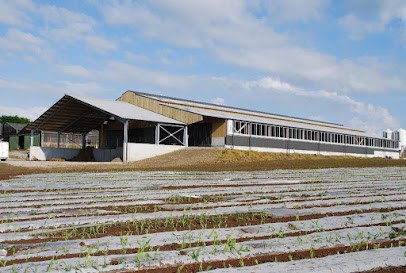 SAS ENTREPRISE BERTHELOT, Charpentier à Loudéac