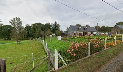 Dumont Ludovic, Charpentier à Vire Normandie