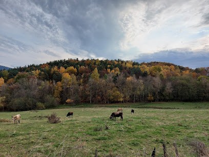 Martin Gérard, Charpentier à Loudenvielle