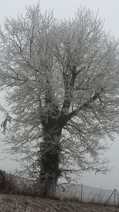 Ateliers Du Perche, Menuisier à Berd'huis