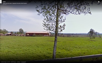 Sarl Fournié Guy Et Fils, Charpentier à Saint-Lieux-lès-Lavaur