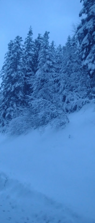 Atec Bâtiment, Charpentier à La Buisse