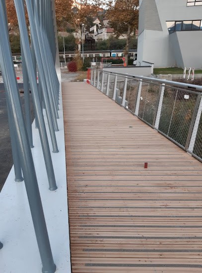 Jacques Meyer Prend La Pose, Menuisier à Epfig