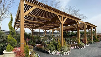 Les Amis Du Toit, Charpentier à Puygouzon