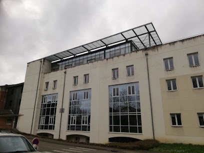 Constans Romain, Menuisier à Villemur-sur-Tarn