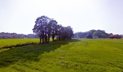 EURL Tournant Fabien, Menuisier à Sompuis